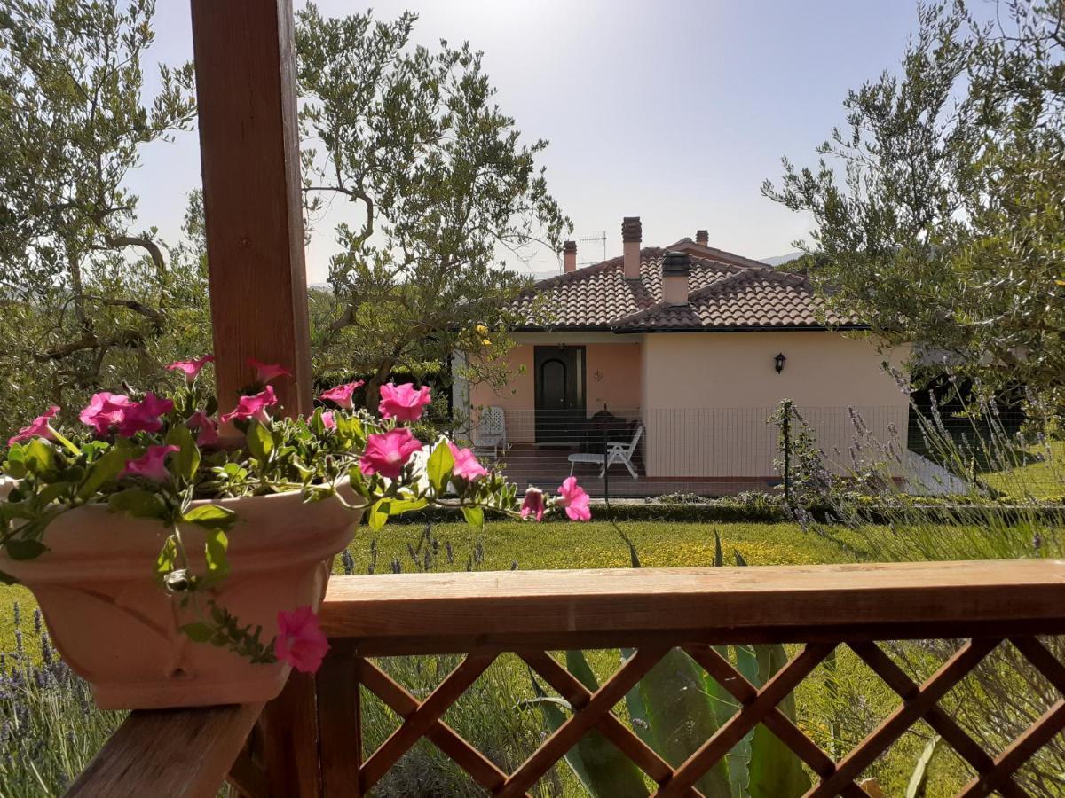 Residence Ai Campi Da Golf Saturnia Eksteriør bilde