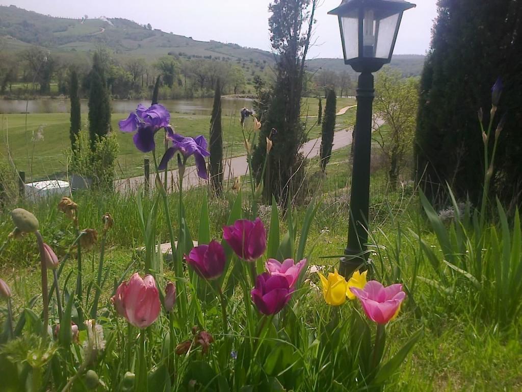 Residence Ai Campi Da Golf Saturnia Eksteriør bilde