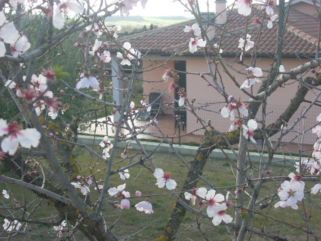Residence Ai Campi Da Golf Saturnia Eksteriør bilde