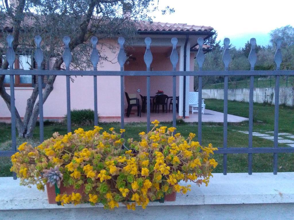 Residence Ai Campi Da Golf Saturnia Eksteriør bilde
