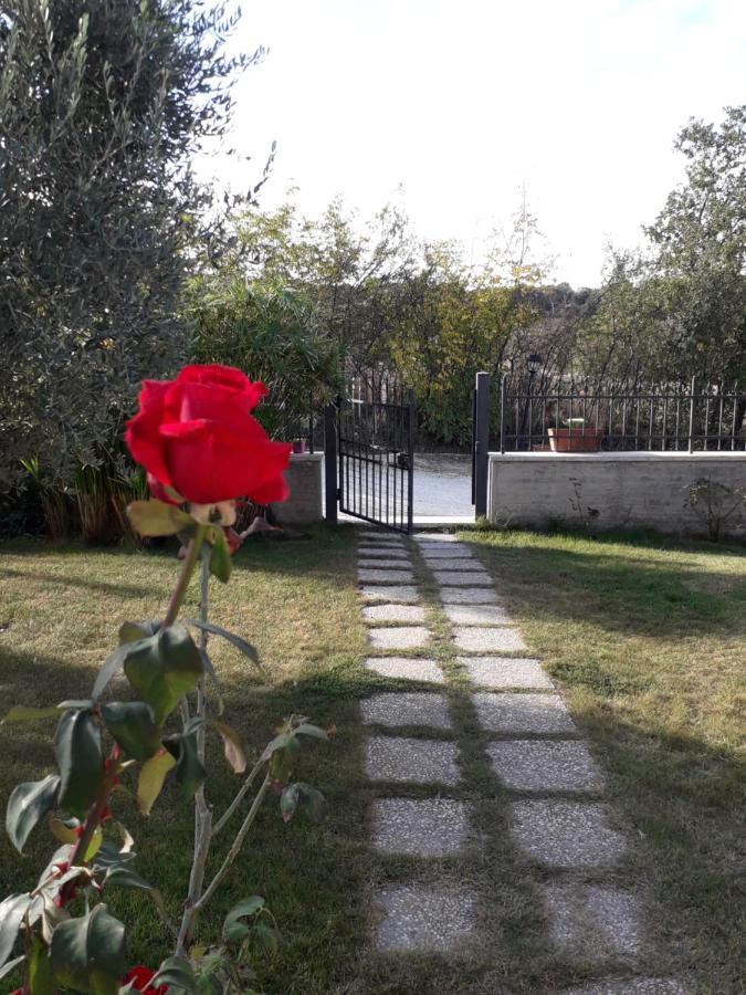 Residence Ai Campi Da Golf Saturnia Eksteriør bilde